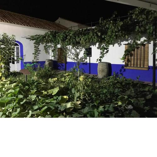 Casa (tipo) RURAL MANCHEGA