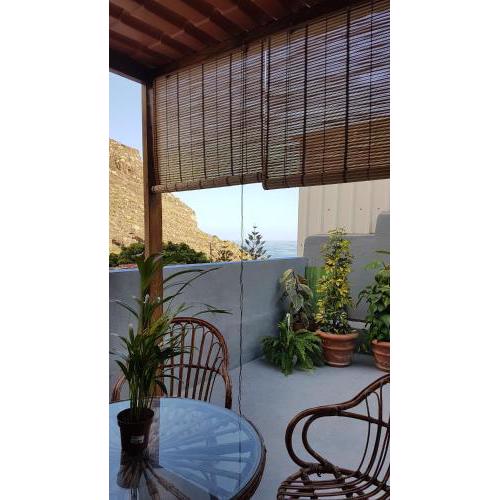 Casa Tortuga