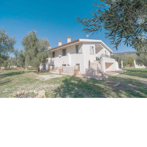 Casa tra gli Ulivi