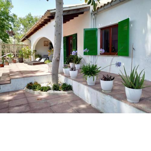 Casa Tritons