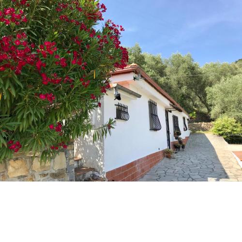 Casa Uliveto