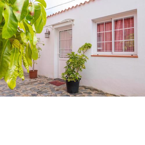 Casa Unifamiliar