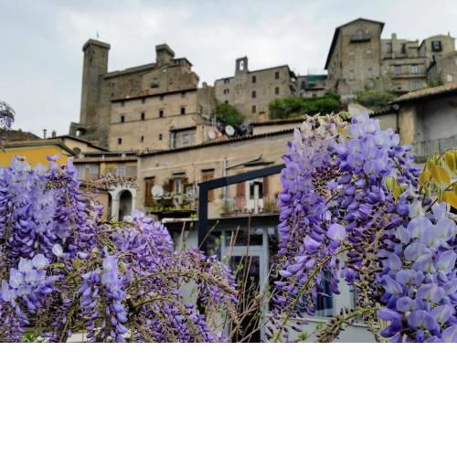Casa vacanza L'ocadoro centro storico