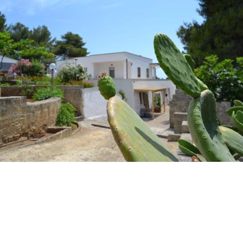 Casa Vacanza Lu Ientu