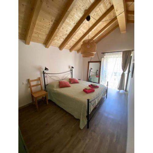 Casa Vacanza L'Ulivo