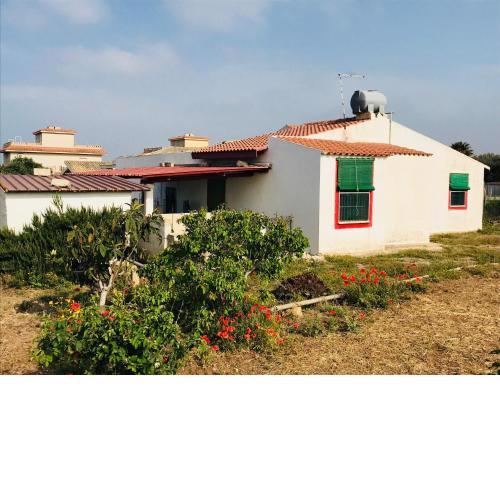 CASA VACANZA PALMENTO BELLA