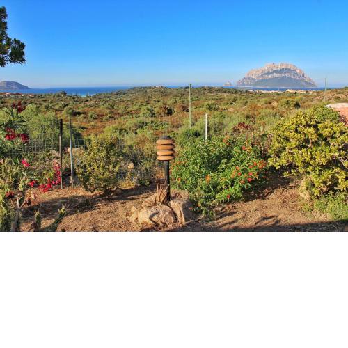 Casa Vacanze - Via Monte Nieddu, 22