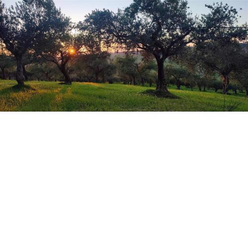 Casa Vacanze Bordea Grande