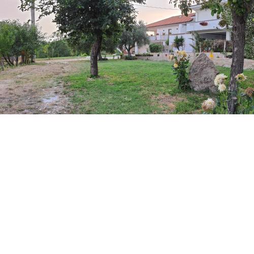 Casa Vacanze Cerreto 3
