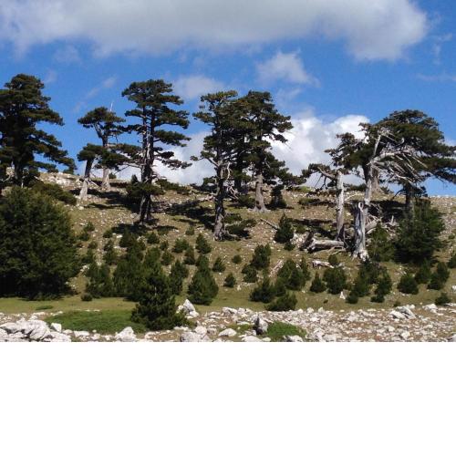 Casa Vacanze Cuore del Pollino