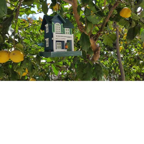 Casa Vacanze DaRena