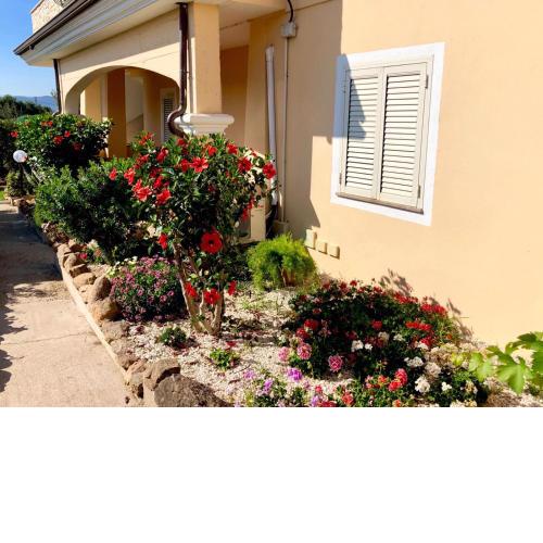 Casa Vacanze Dolce Hibiscus