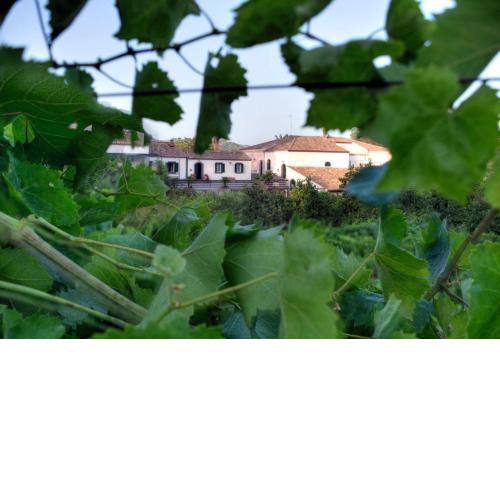 Casa Vacanze Etna