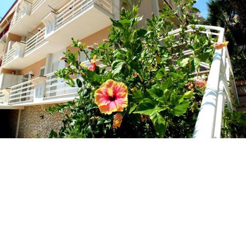 casa vacanze ferdinandea