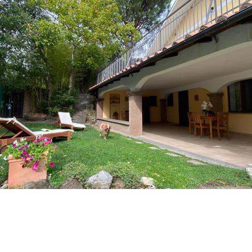 Casa Vacanze Il Bamboo