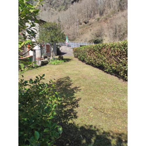Casa Vacanze IL BOSCACCIO "Casa Massimo"