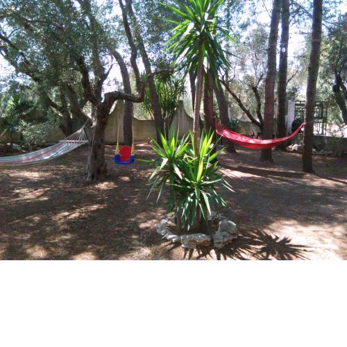 Casa Vacanze La Pineta