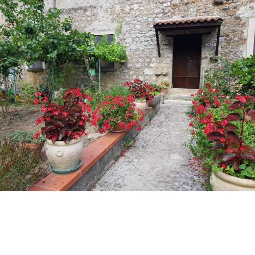 Casa vacanze Le bouganville