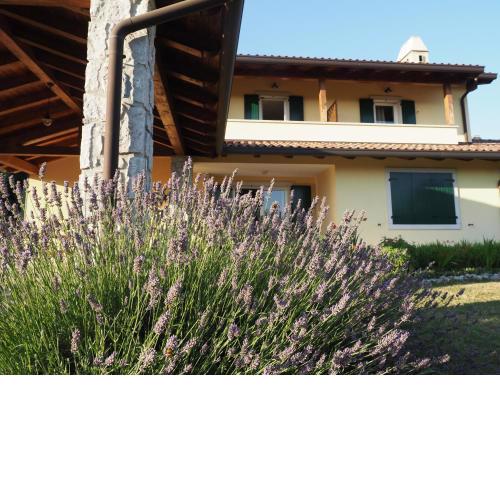 Casa vacanze Lepa Vida