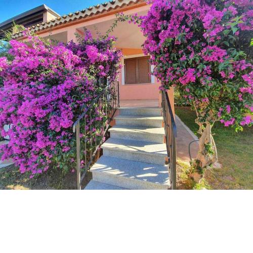 Casa Vacanze lOlivastro