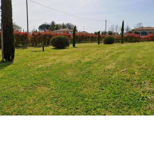 CASA VACANZE L'OLIVO