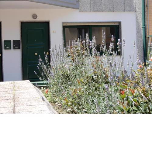 casa vacanze lucianoandson