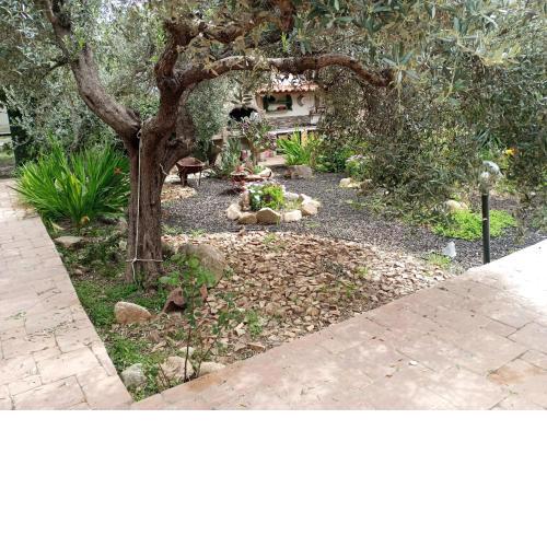 Casa vacanze l'ulivo