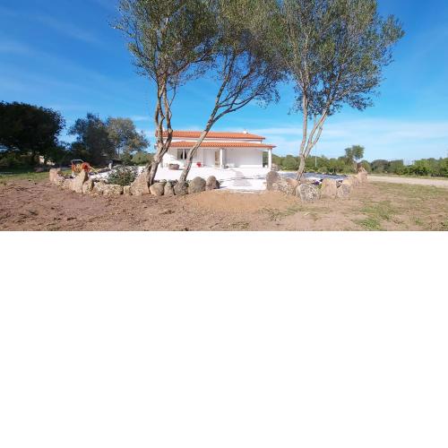 Casa vacanze Olbia - ALEBEA -