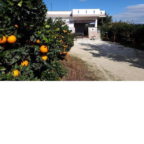 Casa Vacanze Pino - Sciacca - Casa di campagna