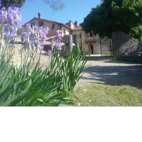 Casa Vacanze Podere Ugolini