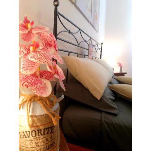 Casa vacanze Porzia People House Monte Porzio Catone (RM)