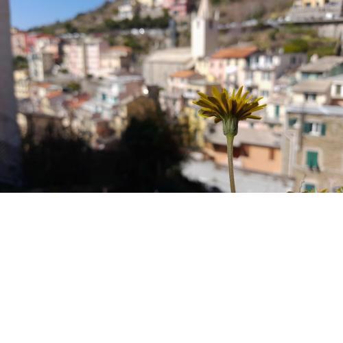 Casa vacanze Riomaggiore