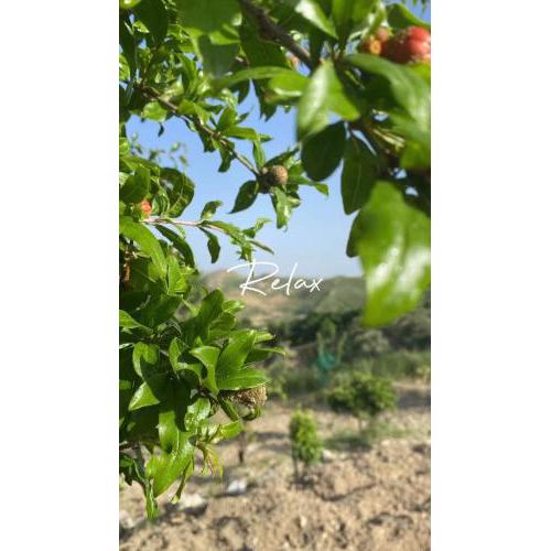 Casa vacanze Sicilia