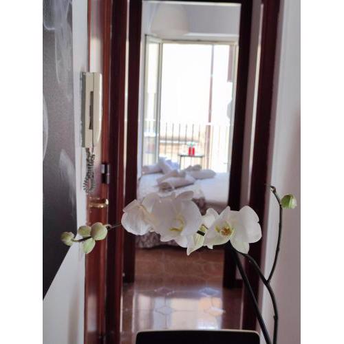 Casa Vacanze u curtigghiu