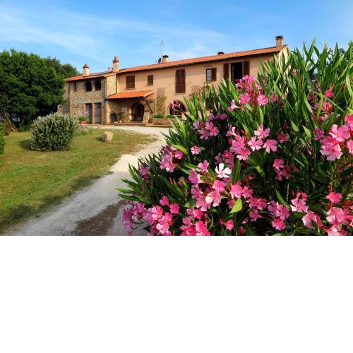 Casa Vacanze Valdicciola