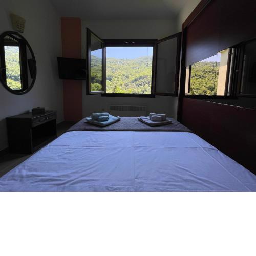 Casa verde ver