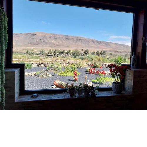Casa Vista Oasis en Fuerteventura