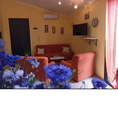 Casa Vivy
