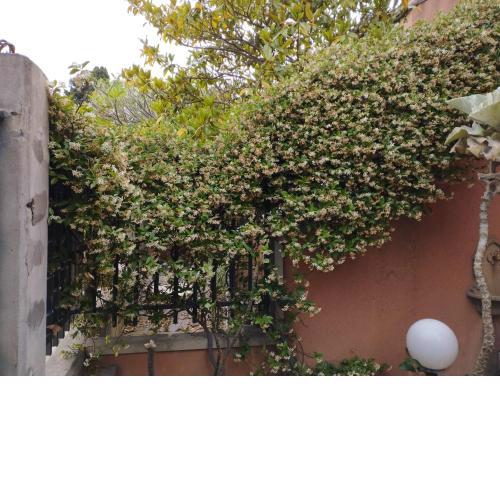 Casabella Mondello