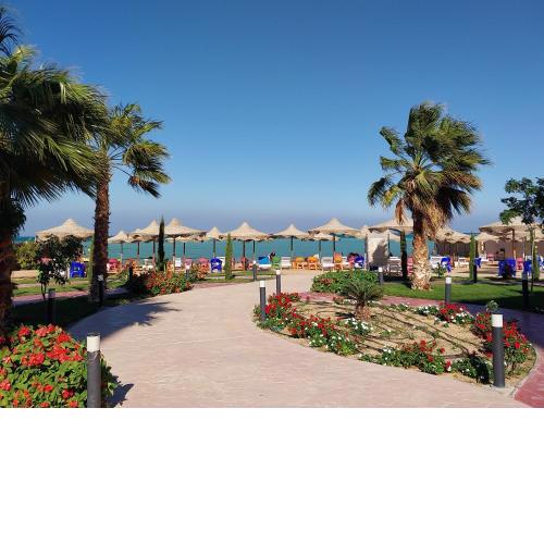 Casablanca Beach Apartments