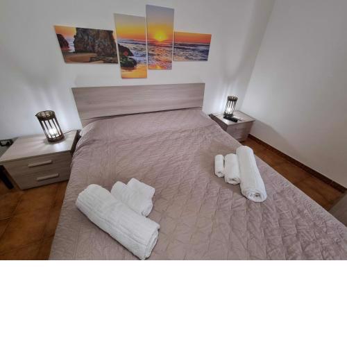 Casaecoo