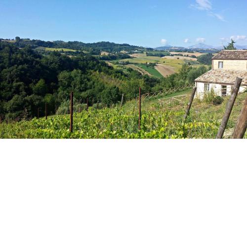 Casale Biancopecora