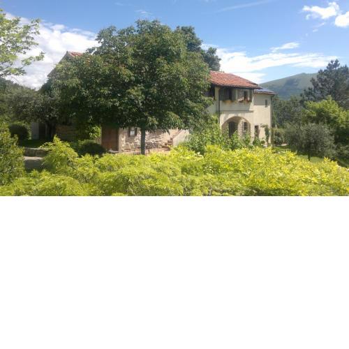 Casale degli ulivi