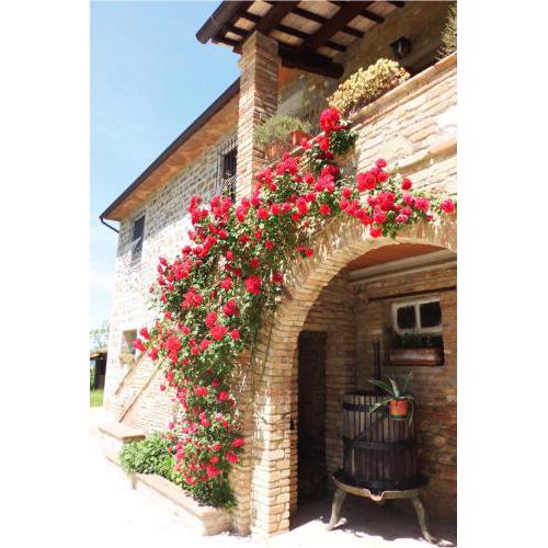 Casale Del Colle | Perugia