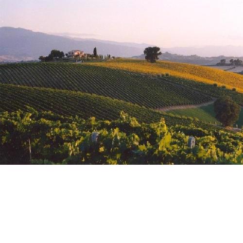 Casale del Colle