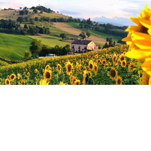 Casale delle Rondini