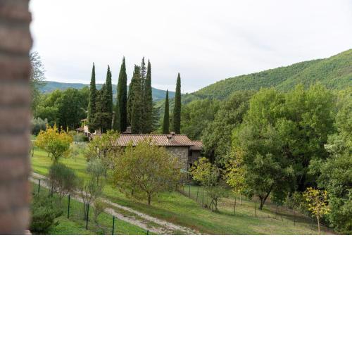Casale Falco Grande