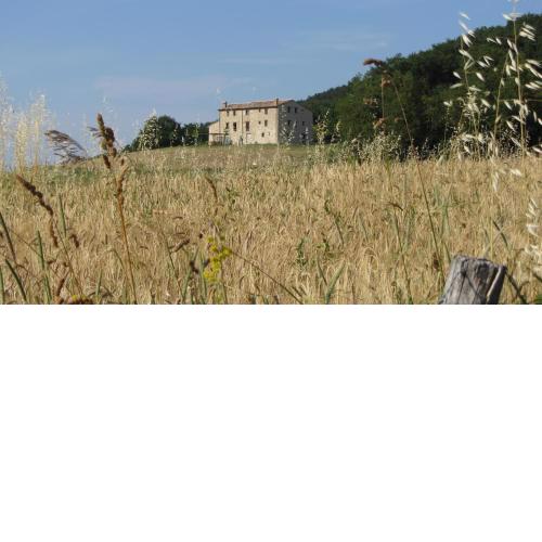Casale Le Fontanelle
