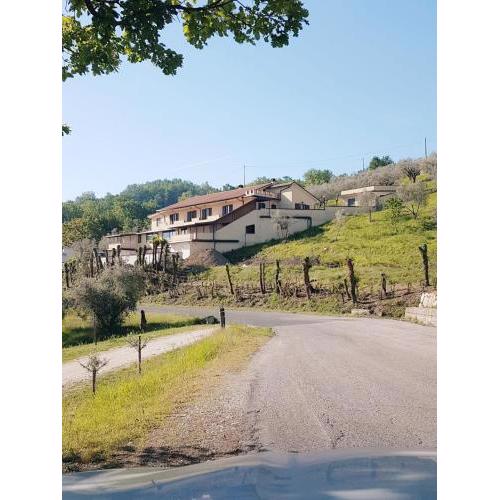 CASALE MICHEL