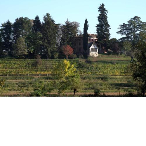 Casali del Picchio - Winery